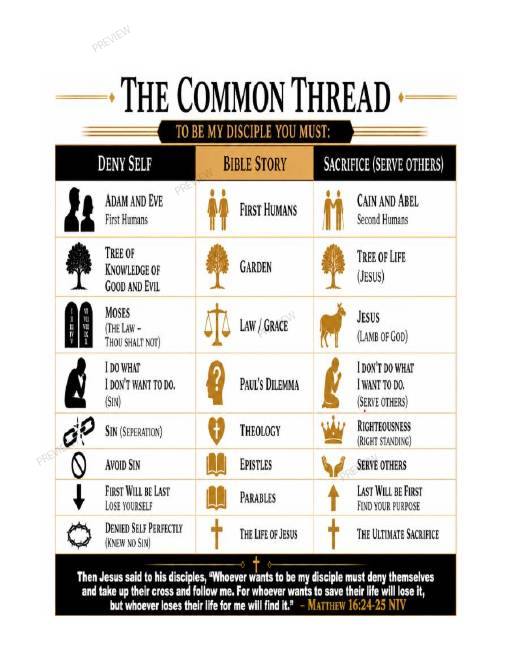 The Book of Sacrifice infographic page 2, a visual map tracing the common thread from Eden to the cross